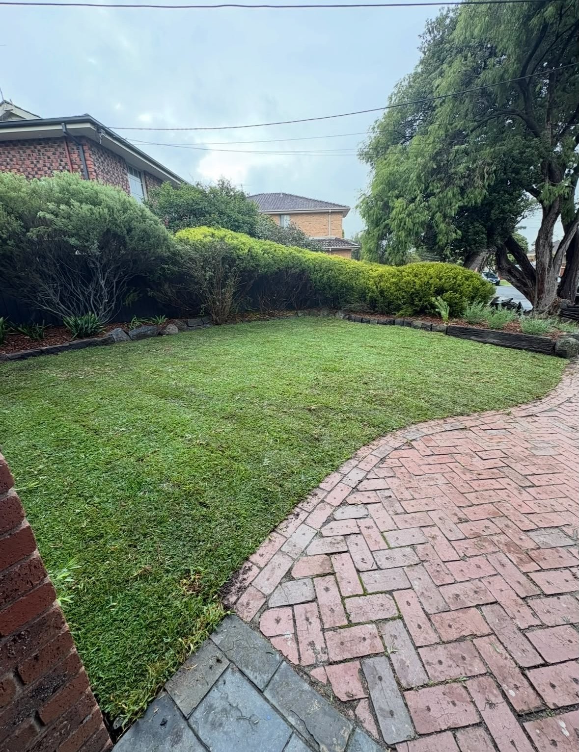 Freshly mowed lawn with neatly trimmed hedge and brick paving