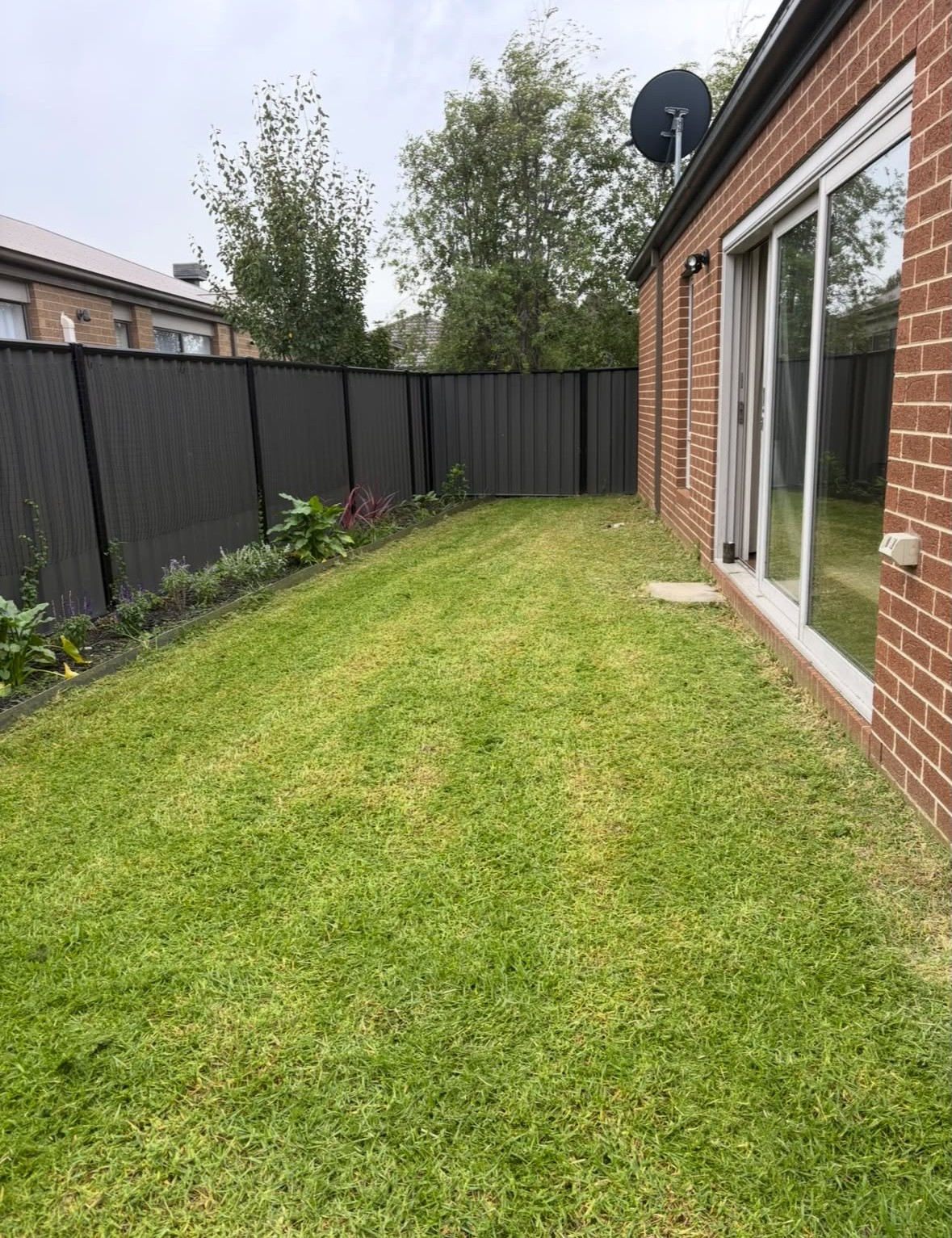 Side Lawn Revival, after
